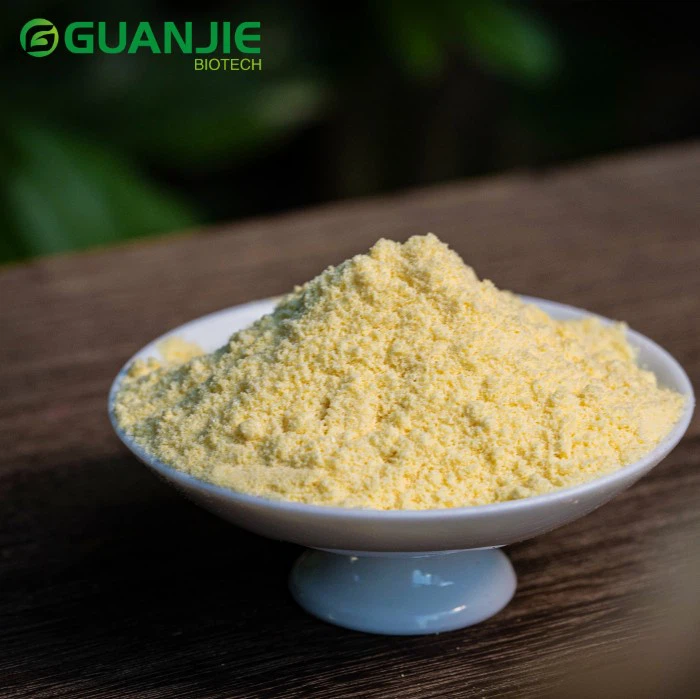 Freeze Dried Sea Buckthorn Powder