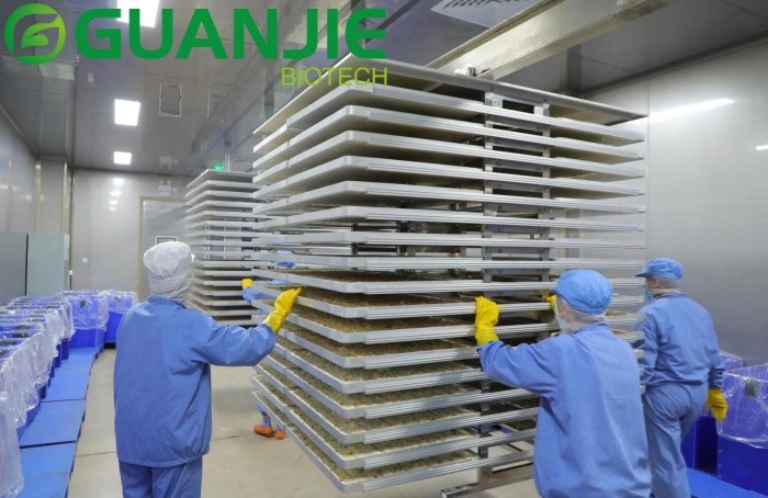 Freeze dried fruit juice powder Freeze dried fruit juice powder