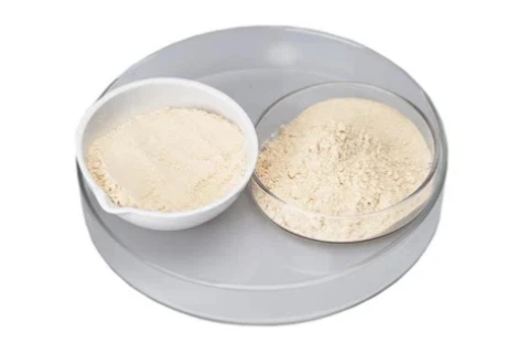 Cantaloupe Powder Cantaloupe Powder