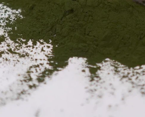 pure Chlorella Powder pure Chlorella Powder